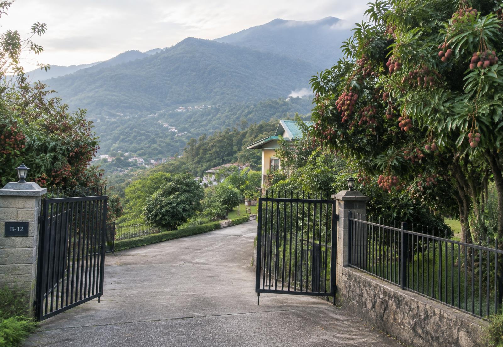 Lychee Lane Plot, Rajpur Road, Dehradun